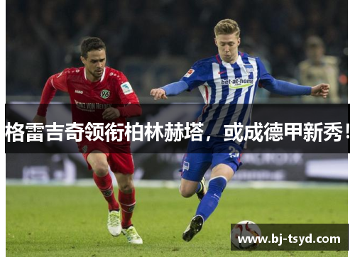格雷吉奇领衔柏林赫塔，或成德甲新秀！