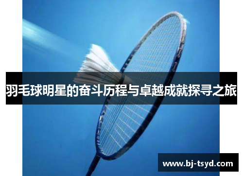 羽毛球明星的奋斗历程与卓越成就探寻之旅